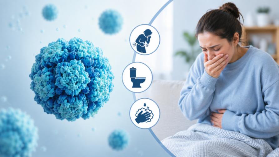 What Is Norovirus? Symptoms, Transmission Routes, and Prevention Methods